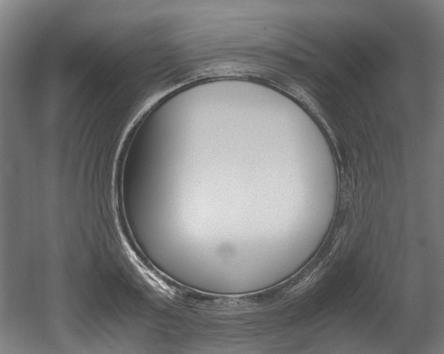 X0000052550795200507010844