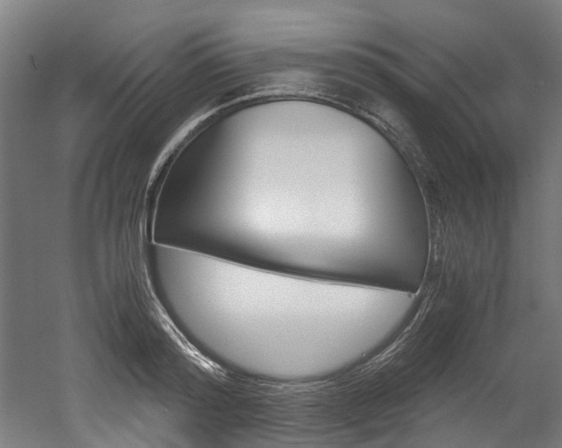 X0000052550796200507010844