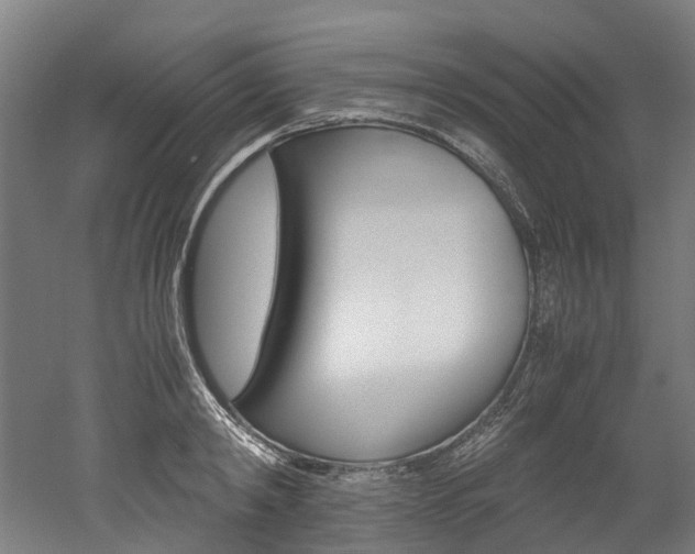 X0000052550798200507010844