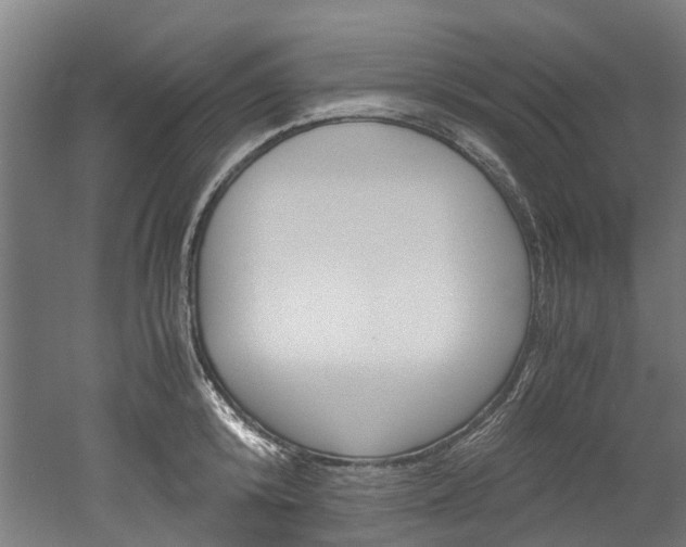 X0000052550800200507010843