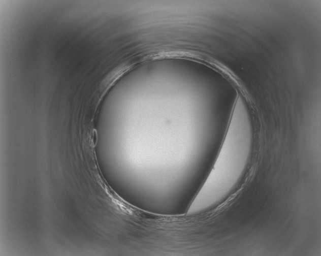 X0000052550809200507010843