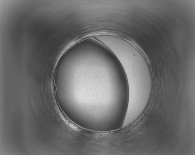 X0000052550813200507010843