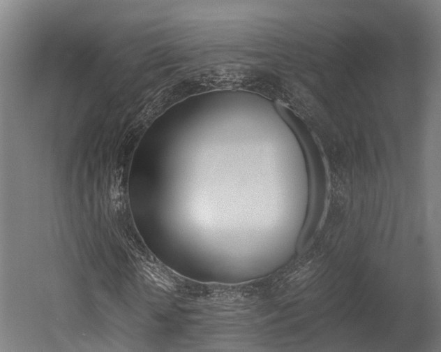 X0000052550818200507010842