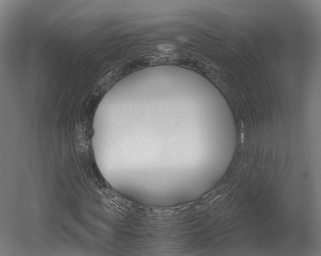 X0000052550819200507010842