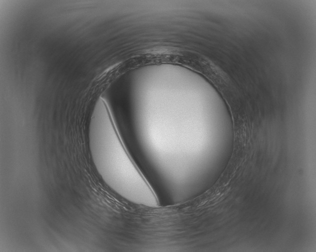 X0000052550821200507010842