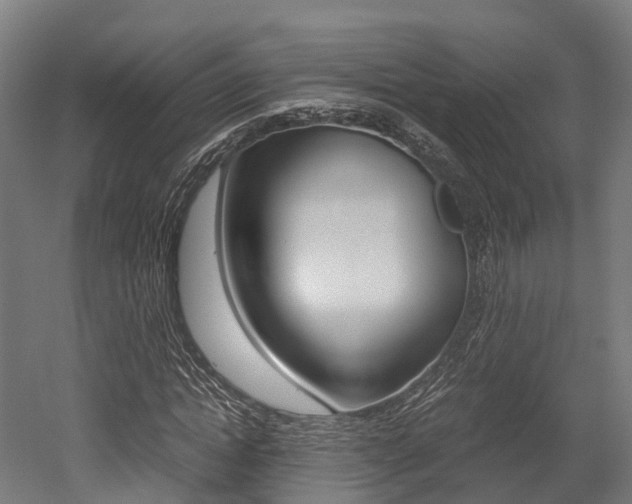 X0000052550822200507010842
