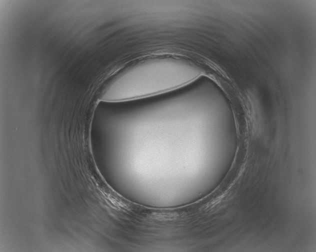X0000052550825200507010843