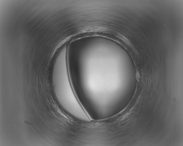 X0000052550826200507010843