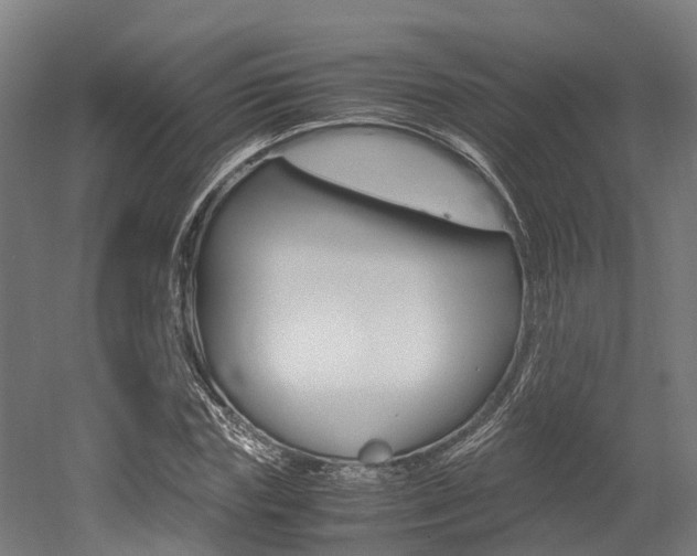 X0000052550827200507010843