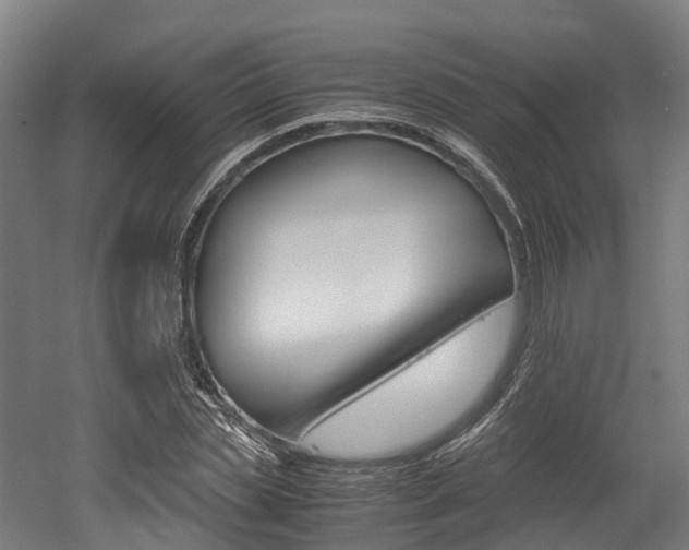 X0000052550829200507010843