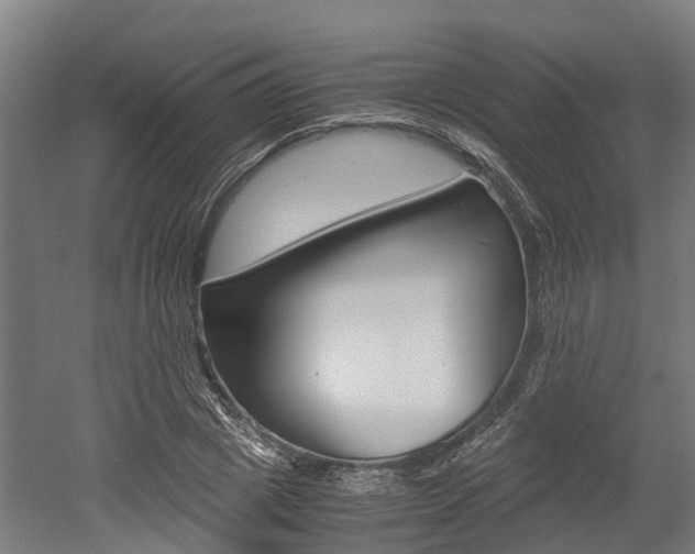 X0000052550833200507010843