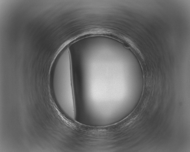 X0000052550837200507010843