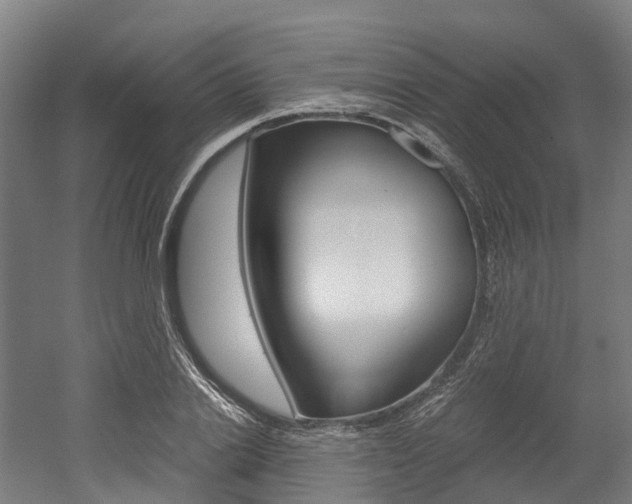 X0000052550838200507010843