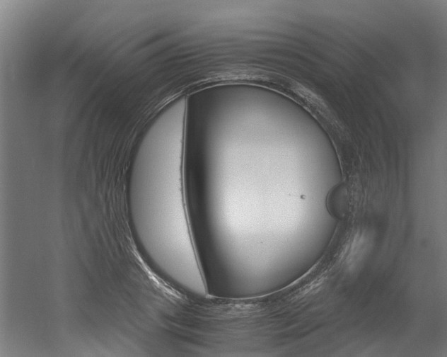 X0000052550841200507010843