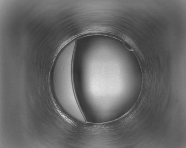 X0000052550842200507010843