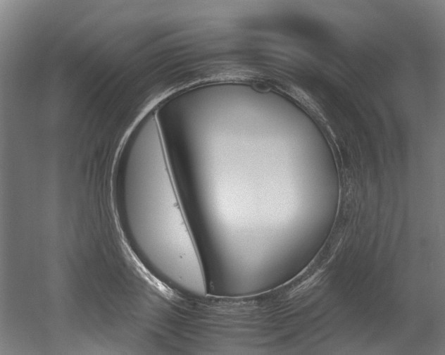 X0000052550843200507010843