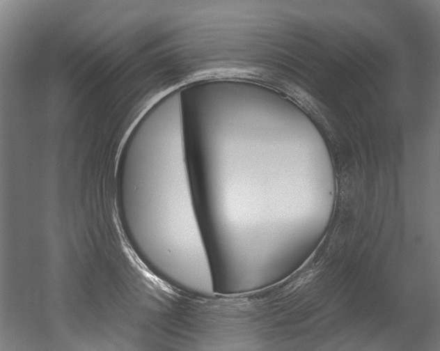 X0000052550844200507010843