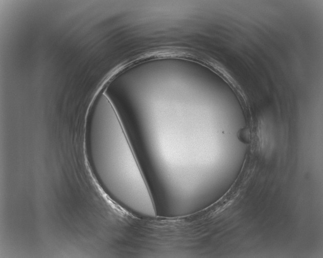 X0000052550853200507010843