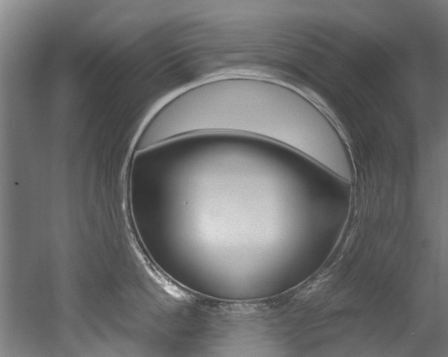 X0000052550862200507010843