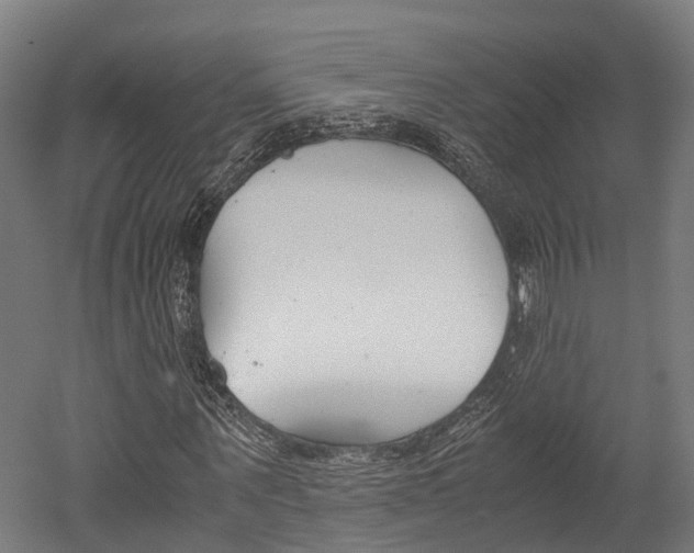 X0000052550867200507010842