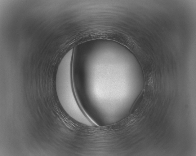 X0000052550868200507010842