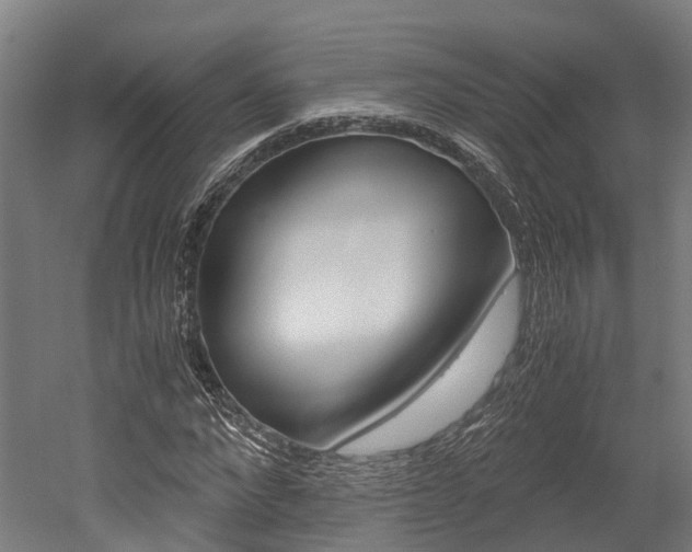 X0000052550872200507010842