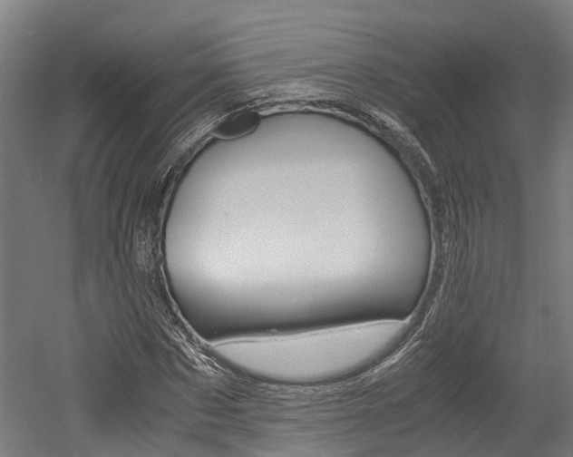 X0000052550873200507010842