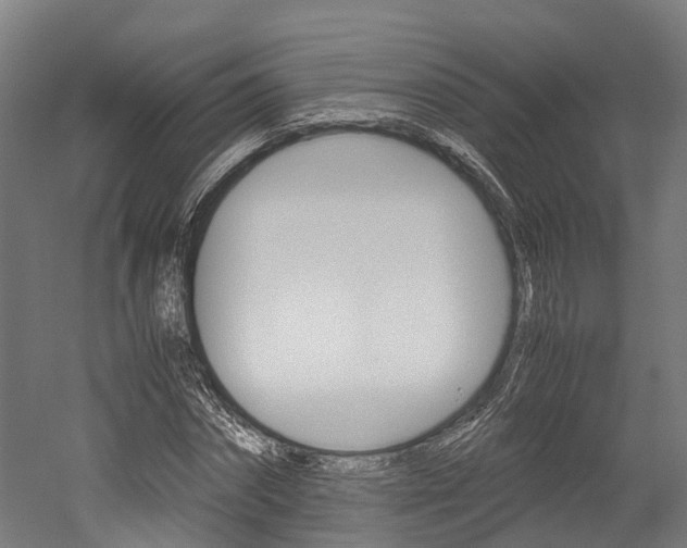 X0000052550874200507010842
