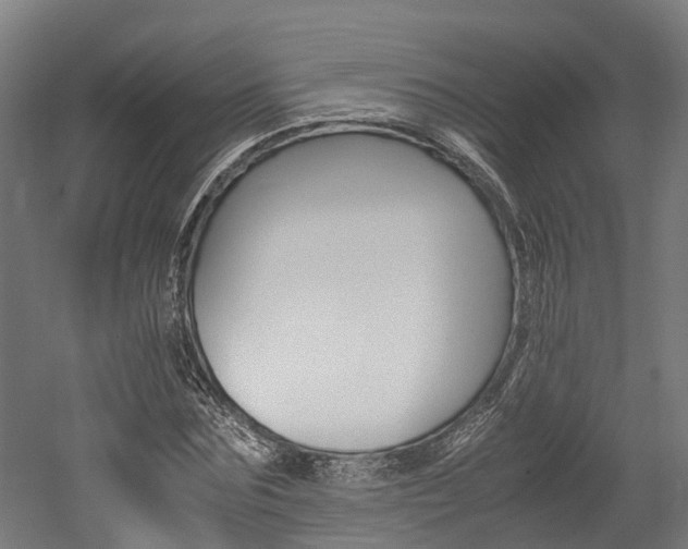 X0000052550875200507010842