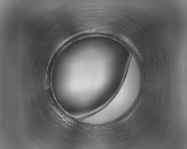 X0000052550876200507010842