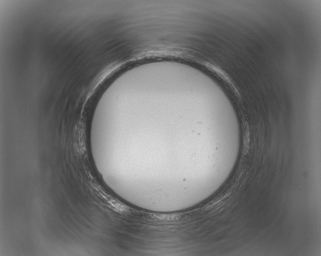 X0000052550878200507010842