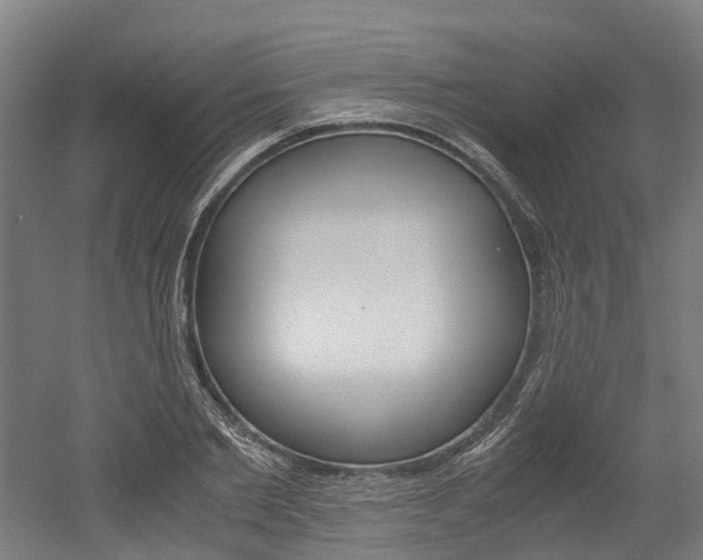 X0000052550885200507010842