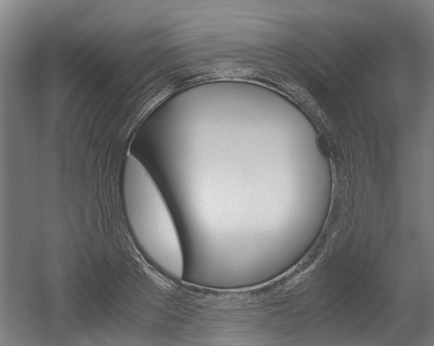 X0000052550889200507010842