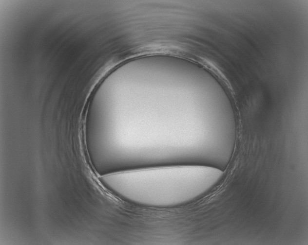 X0000052550899200507010842