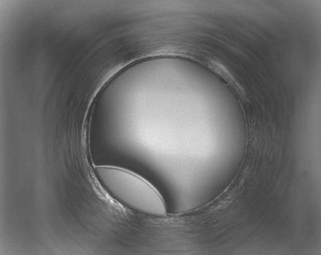 X0000052550900200507010842