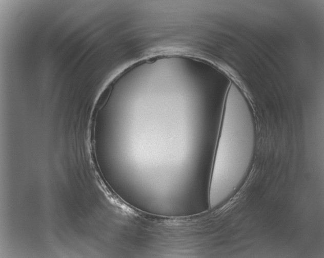 X0000052550904200507010842