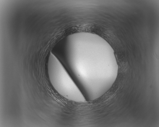 X0000052550913200507010841