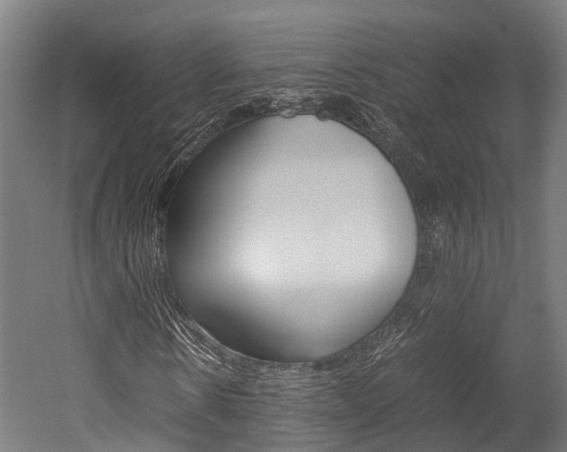 X0000052550914200507010841