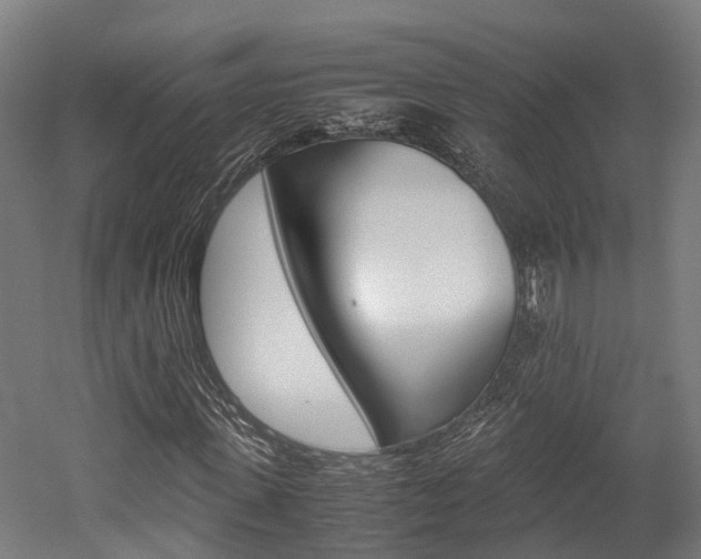 X0000052550915200507010841