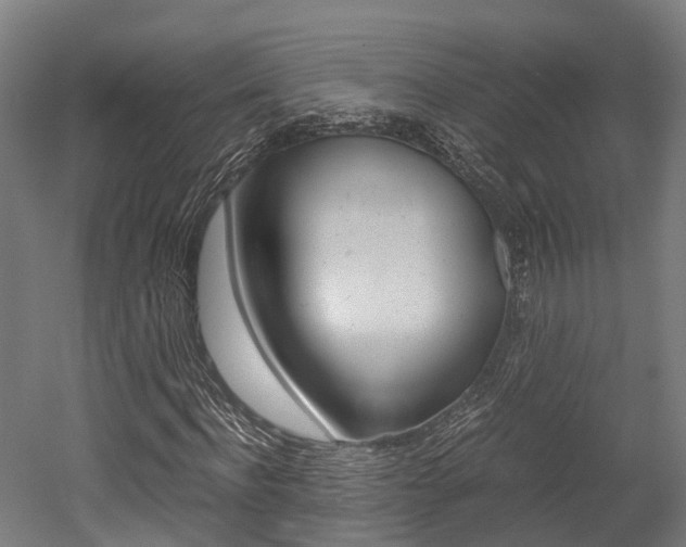 X0000052550916200507010841