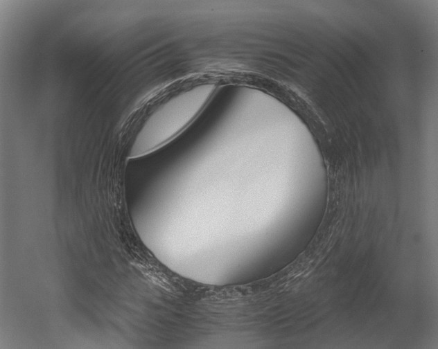 X0000052550919200507010841