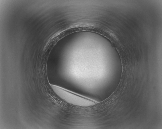 X0000052550920200507010841