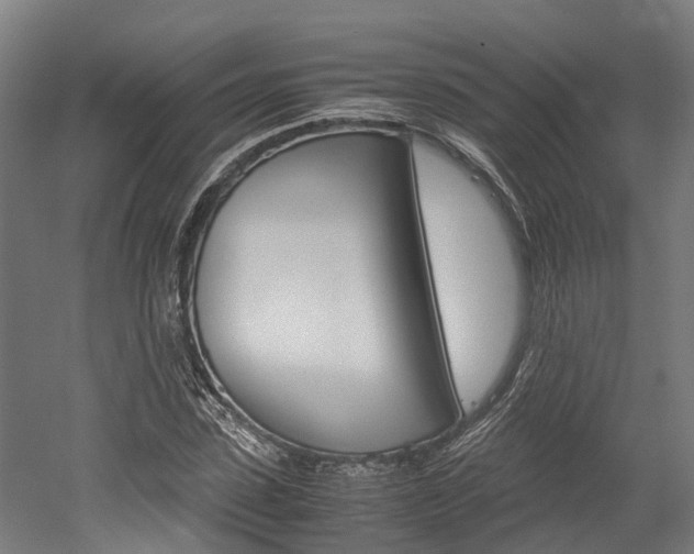 X0000052550923200507010841