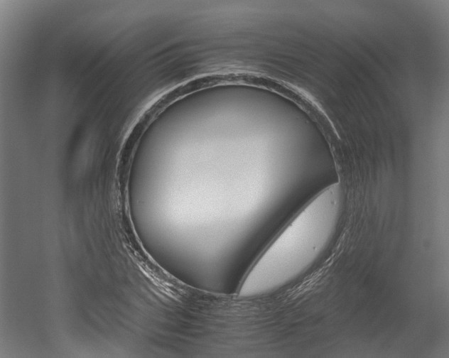 X0000052550927200507010841