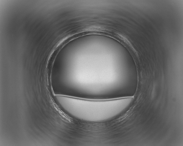 X0000052550931200507010841