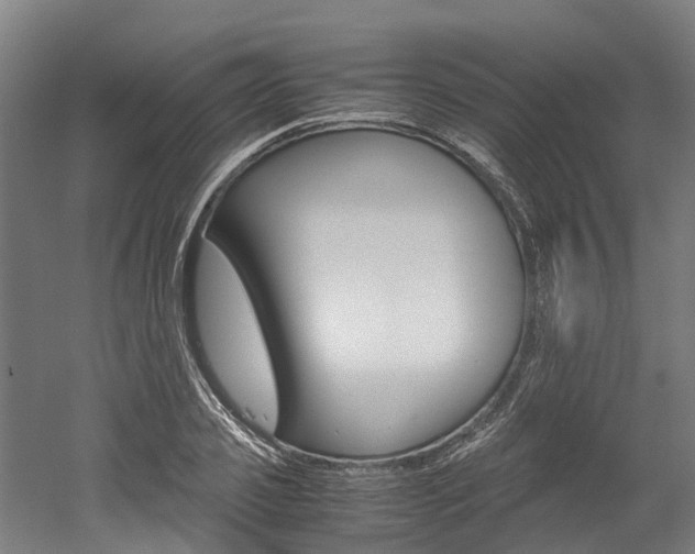 X0000052550933200507010841