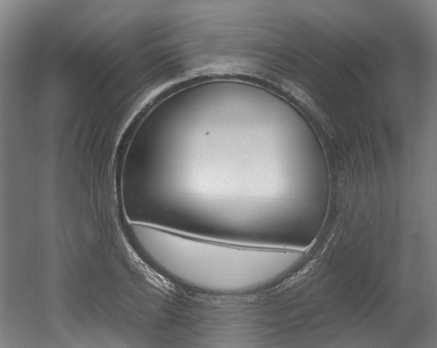 X0000052550934200507010841
