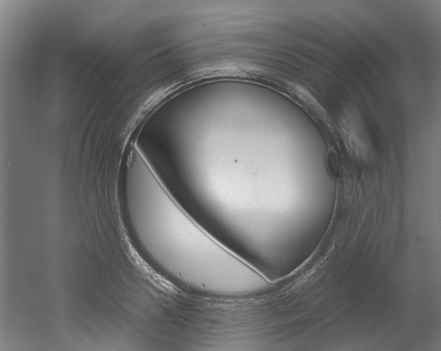 X0000052550938200507010841