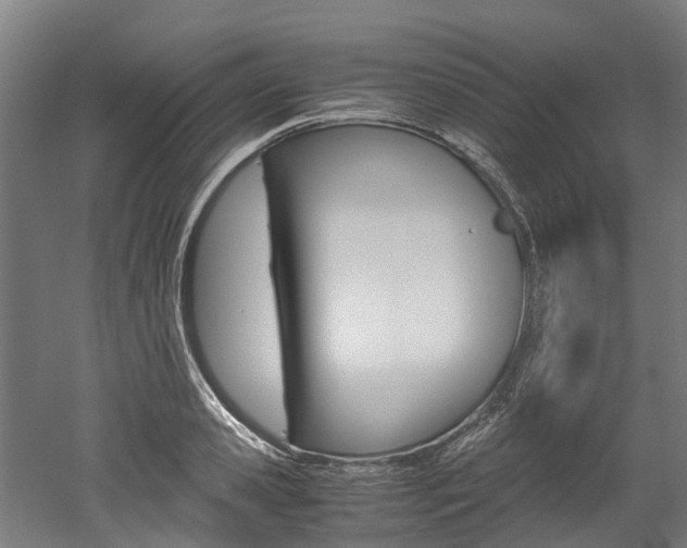 X0000052550941200507010841