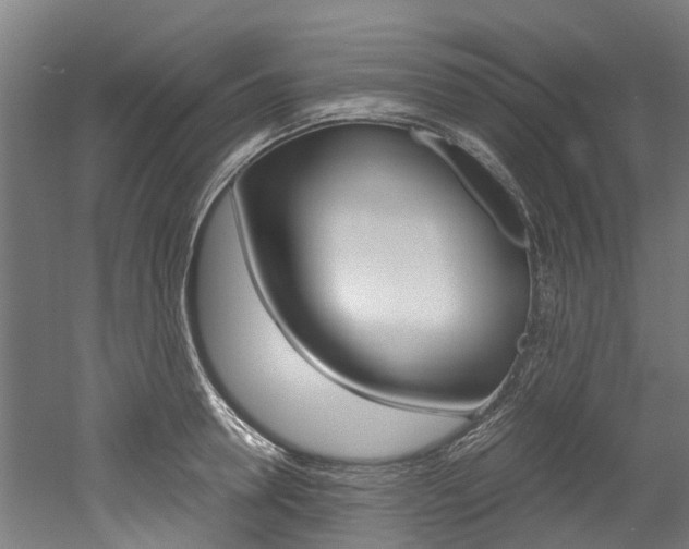 X0000052550946200507010841